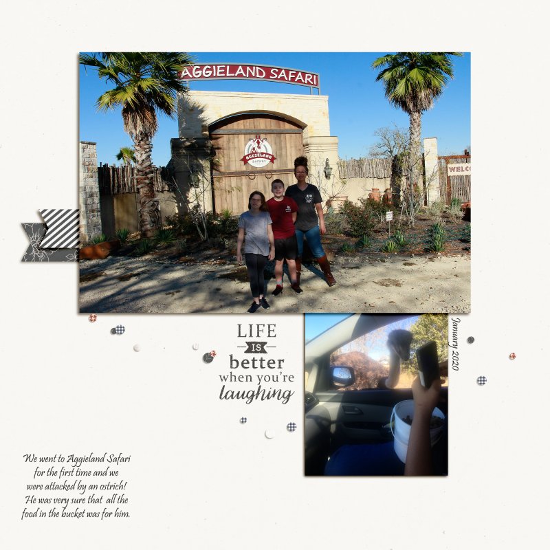 SafariFun