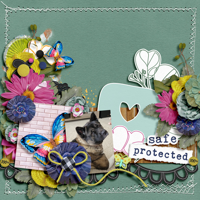 safe & protected