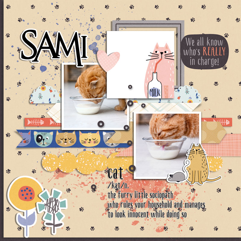 sami