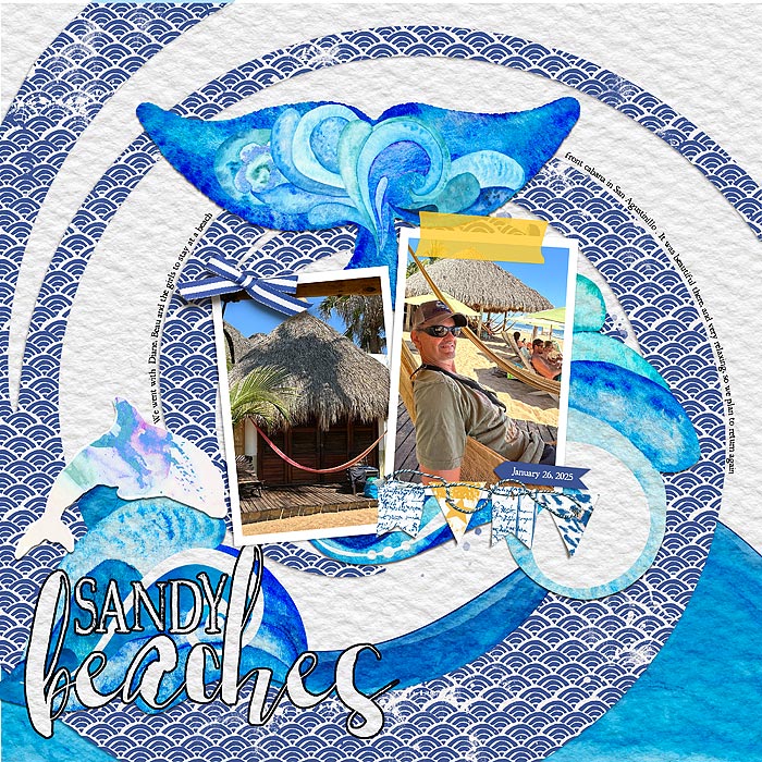 Sandy Beaches
