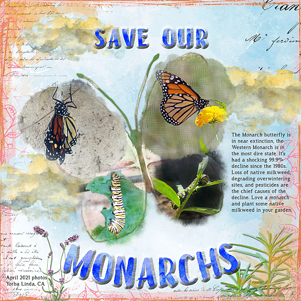 Save Our Monarchs
