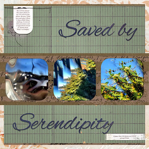 Saved by Serendipity