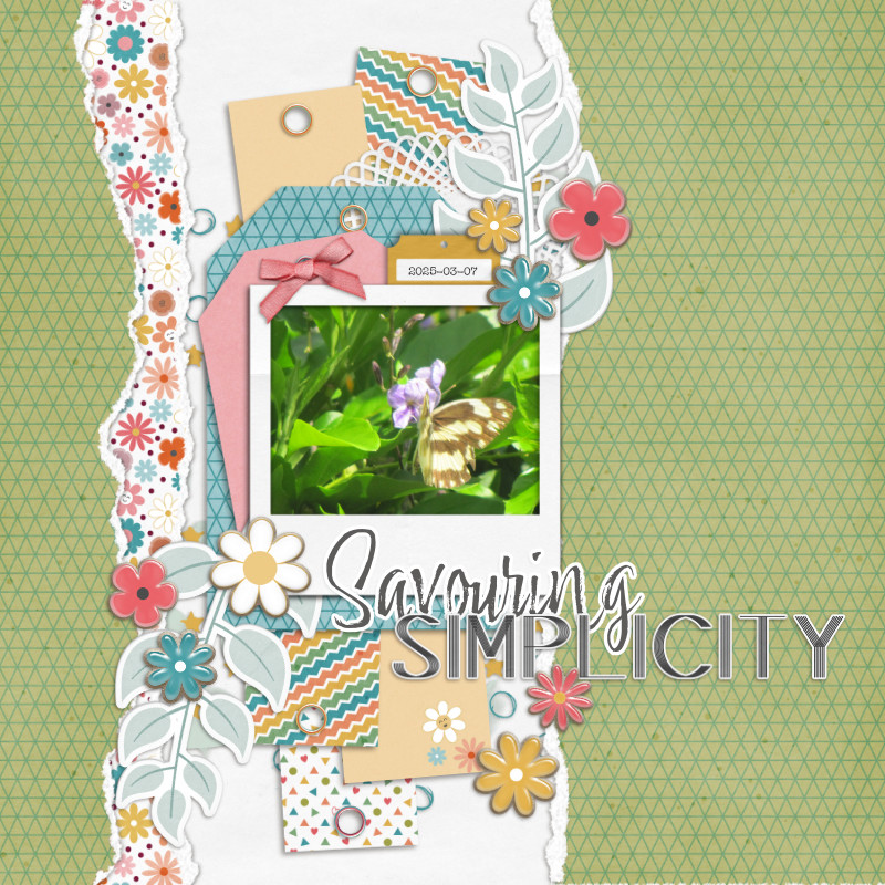 SavouringSimplicity