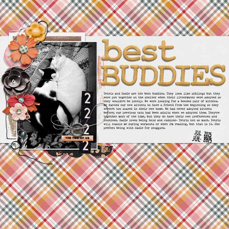 SC2025_week4-Buddies