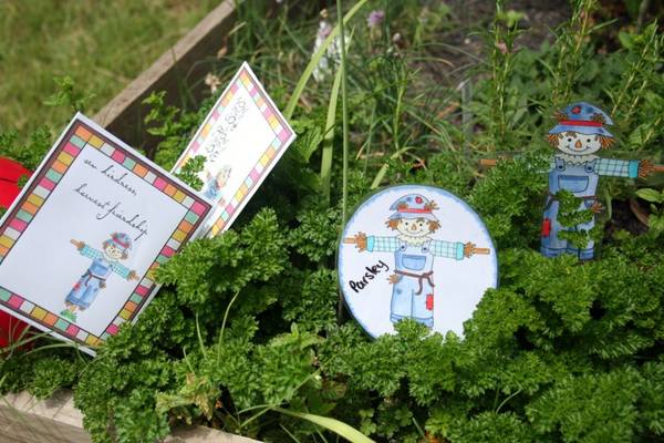 Scarecaterpillar Herb Garden Kit