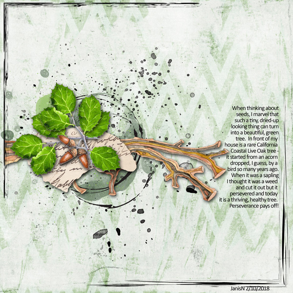 ScaredyCat_Seed2