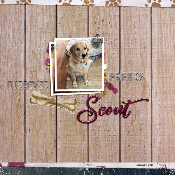 Scout