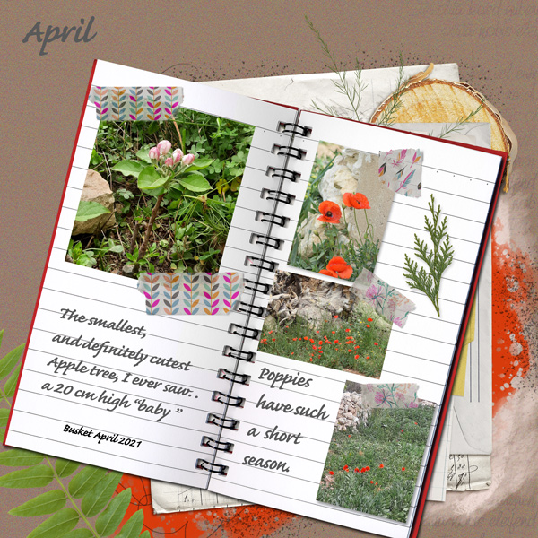 Scrap-lift-April