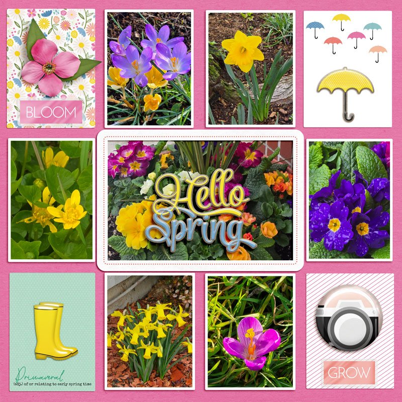 scrapchyck-Hello-Spring.jpg
