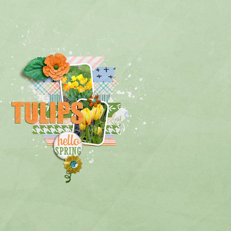 scrapchyck-Tulips.jpg