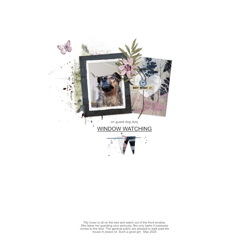 Scraplift Challenge - May