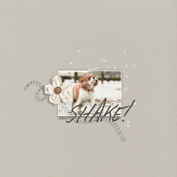 Scraplift Challenge - Sept 16