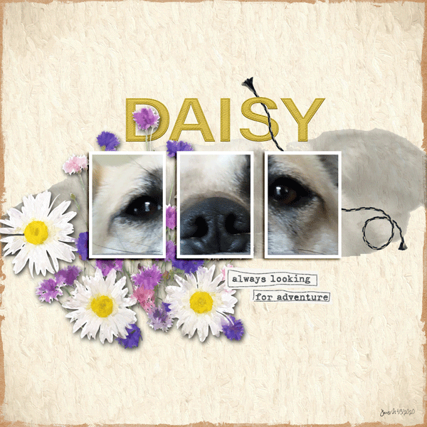 Scraplift_Daisy
