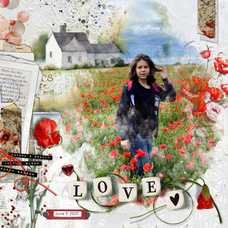 Sea of Poppies