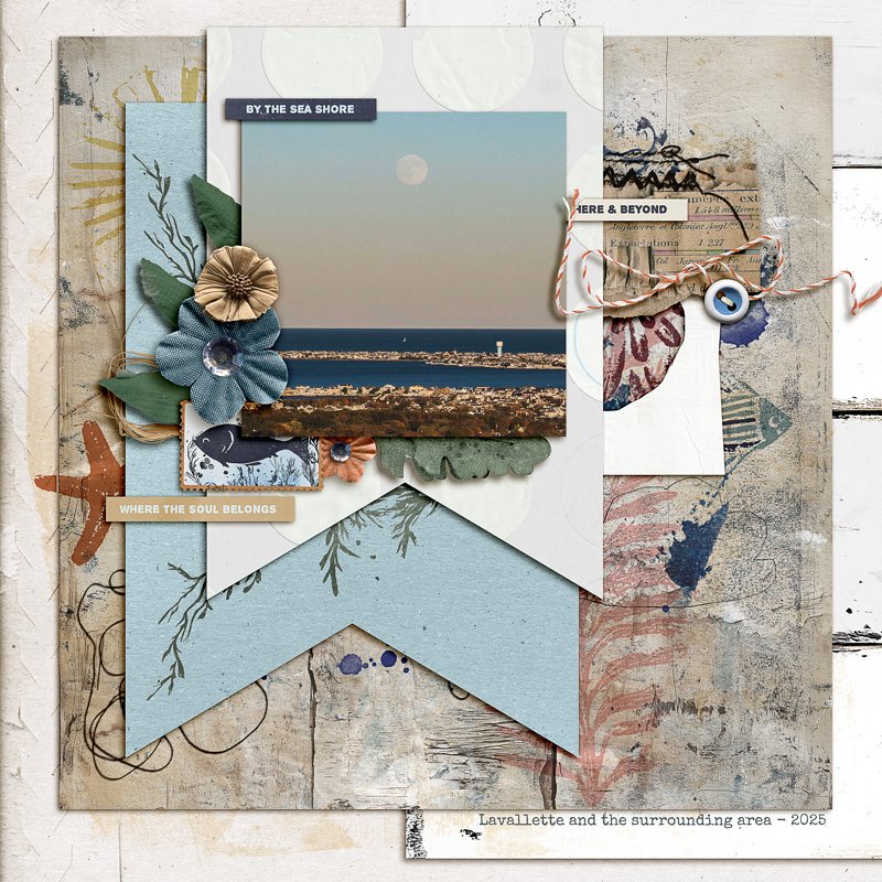 Seashore