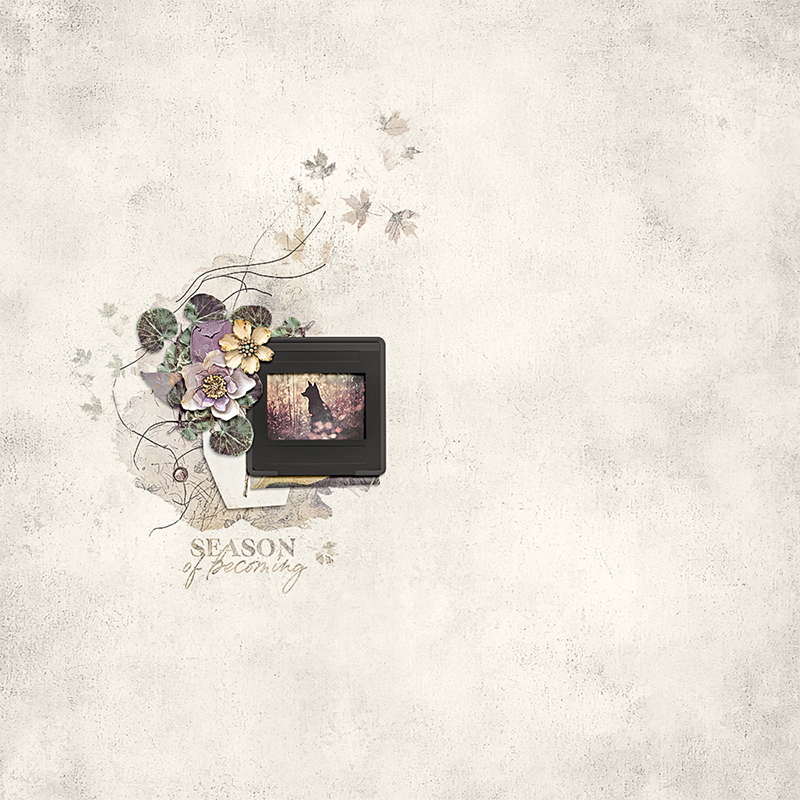 Season Of Becoming