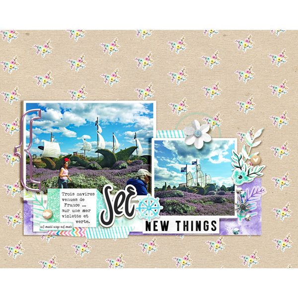 See (Sea) New Things