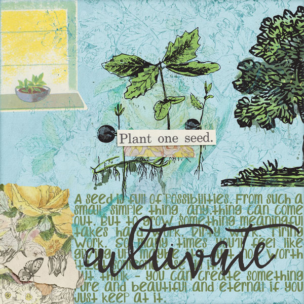 Seed (messy)