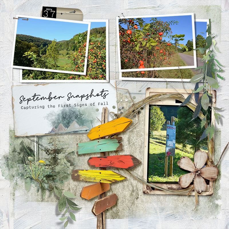 september snapshots