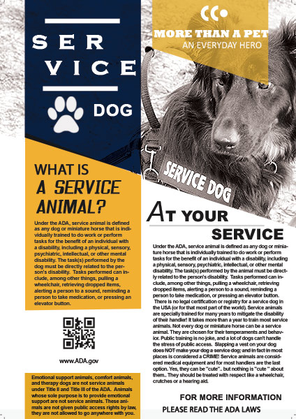 Service Dogs