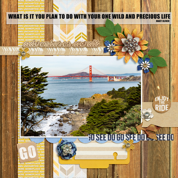 SF Bay