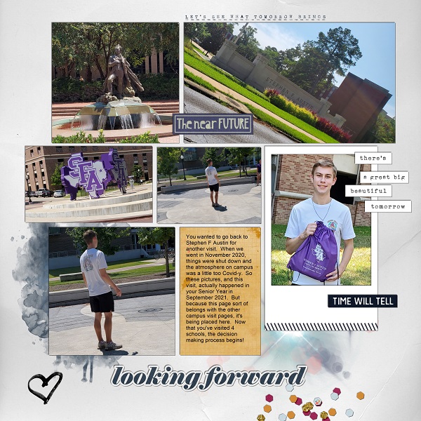 SFA - visit 2