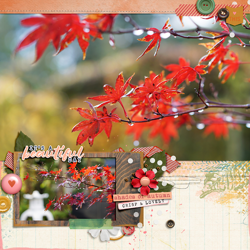 Shades Of Autumn