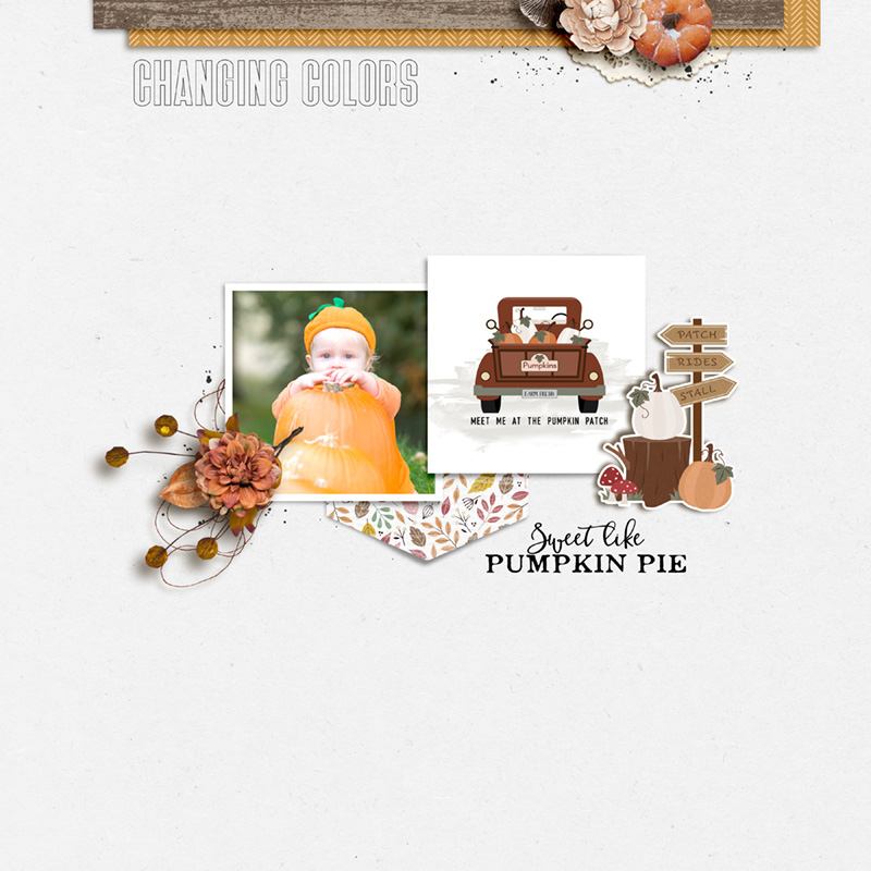 Shades Of Autumn