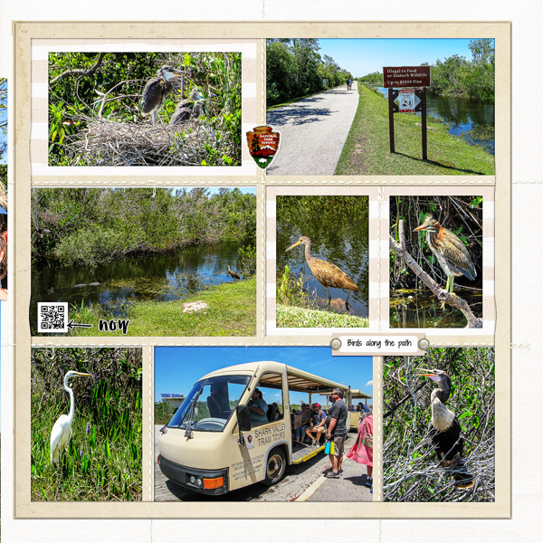 Shark Valley, the Everglades National Park, right