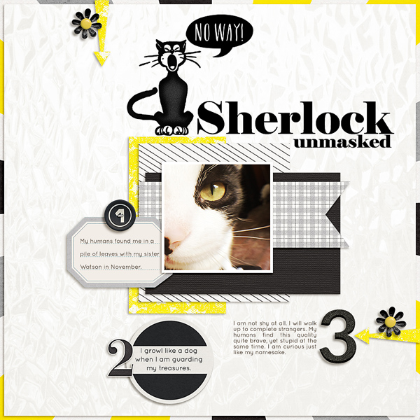 Sherlock Unmasked