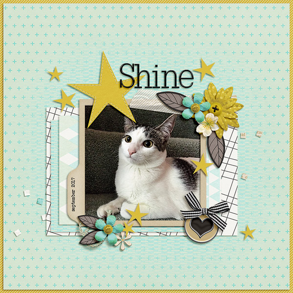 shine