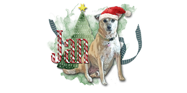 Siggy_Dec