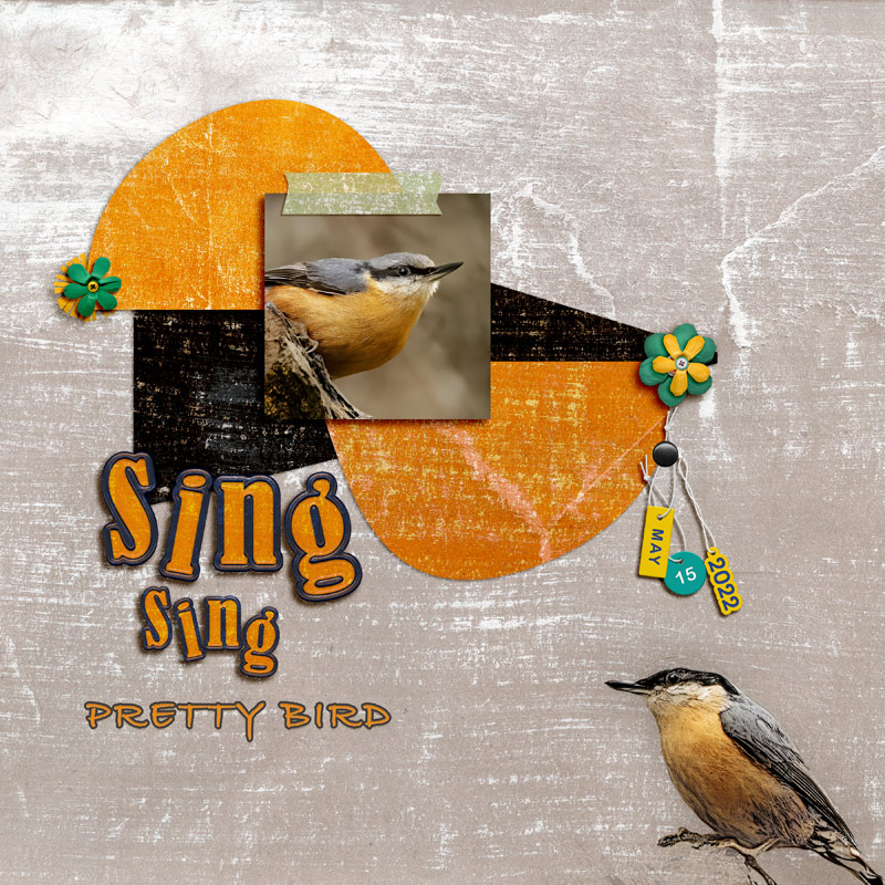 Sing