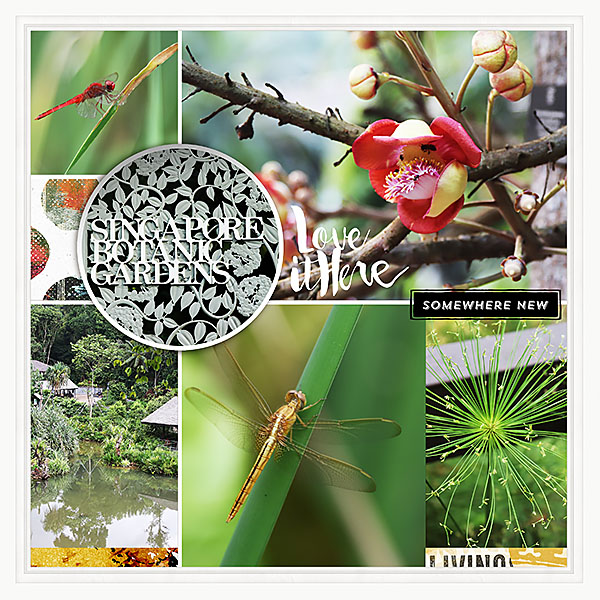 Singapore botanic gardens