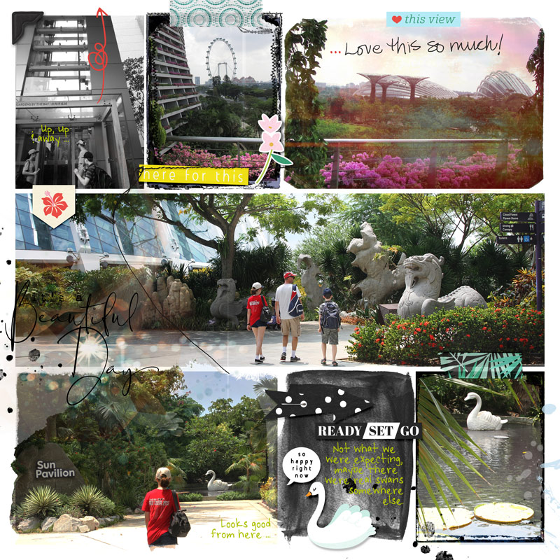 singapore swan