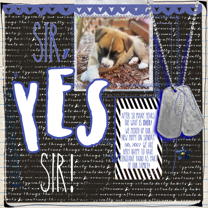 SirYesSir_Sarge