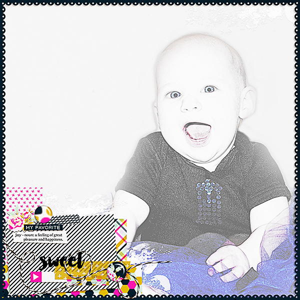 Six Month Photo Shoot