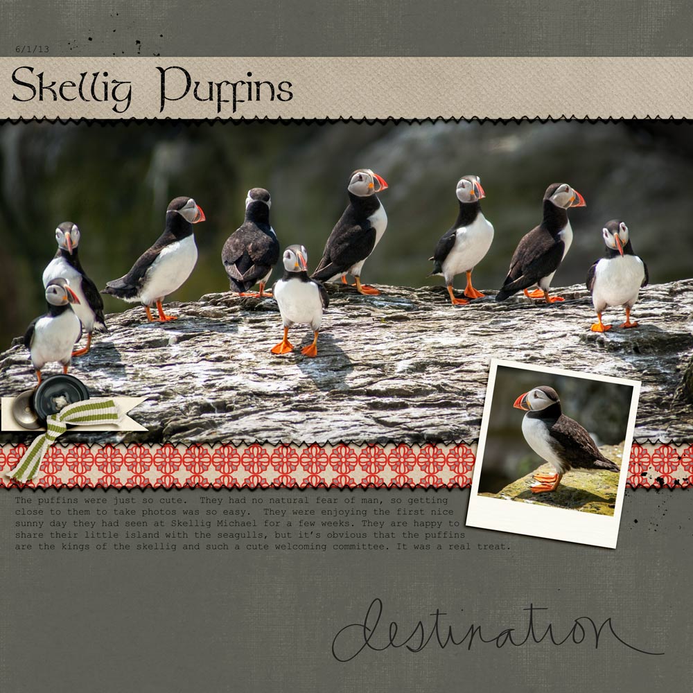 Skellig Puffins