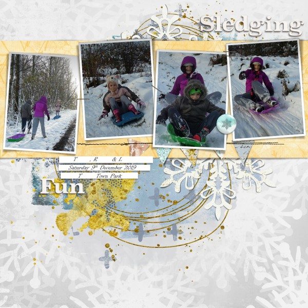 Sledging