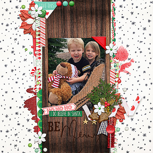 Sleigh Pic