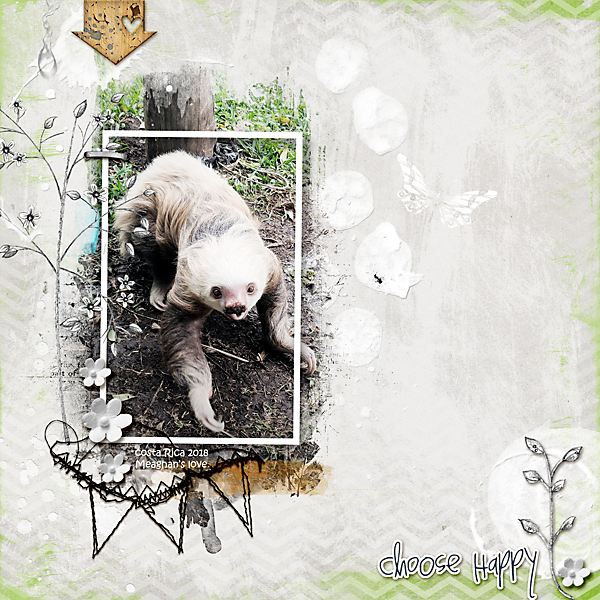 Sloth1
