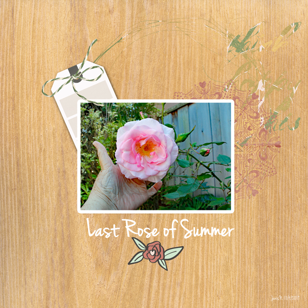 Slow Scrap 10-4_Last Rose