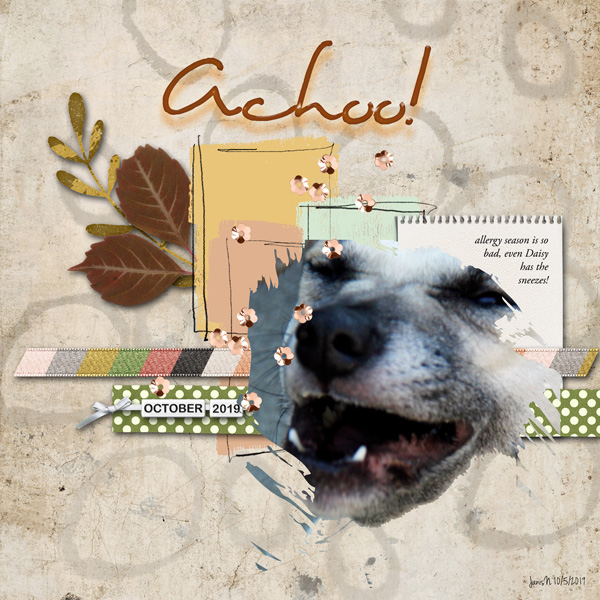 Slow Scrap 10-5_achoo