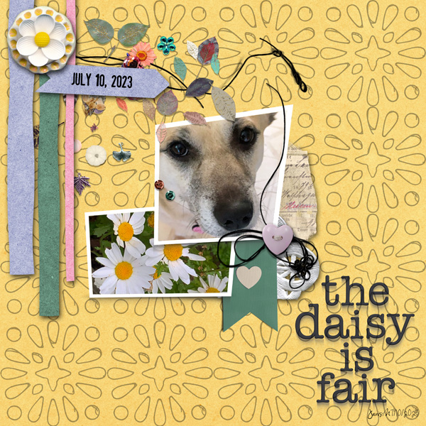 Slow Scrap 7-10_thedaisy