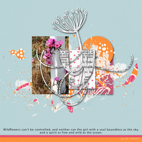 Slow Scrap_wildflowers