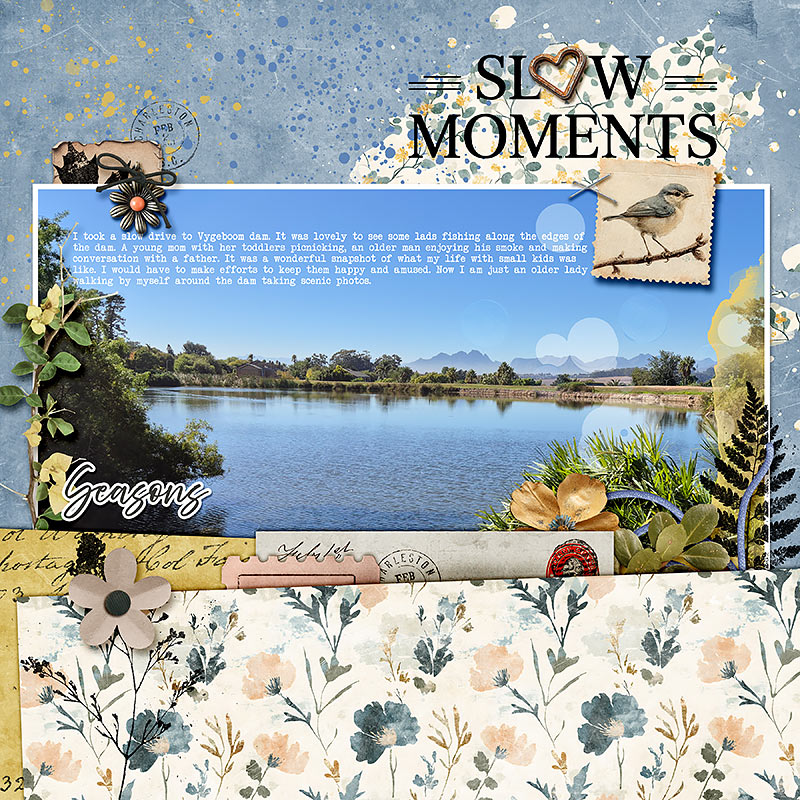SlowMoments
