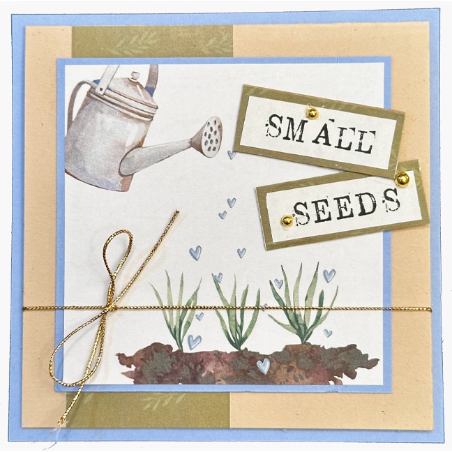 Small Seeds Hybrid Card - outside.jpg