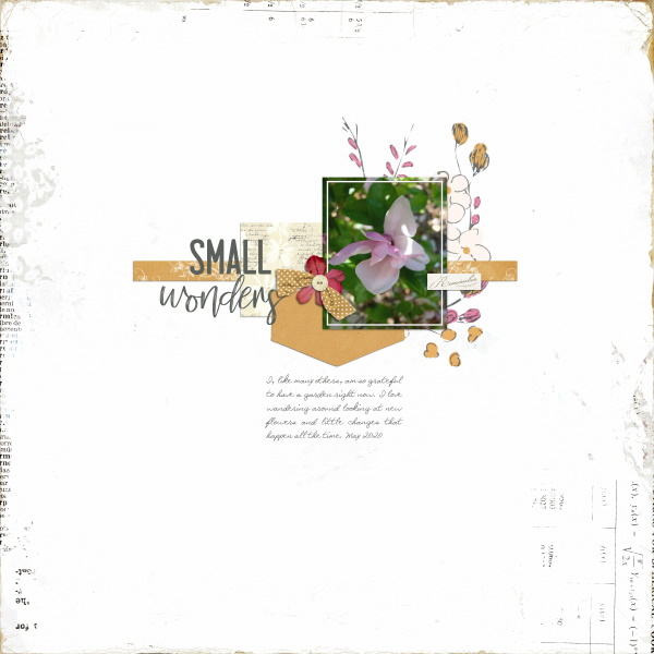 Small Wonders