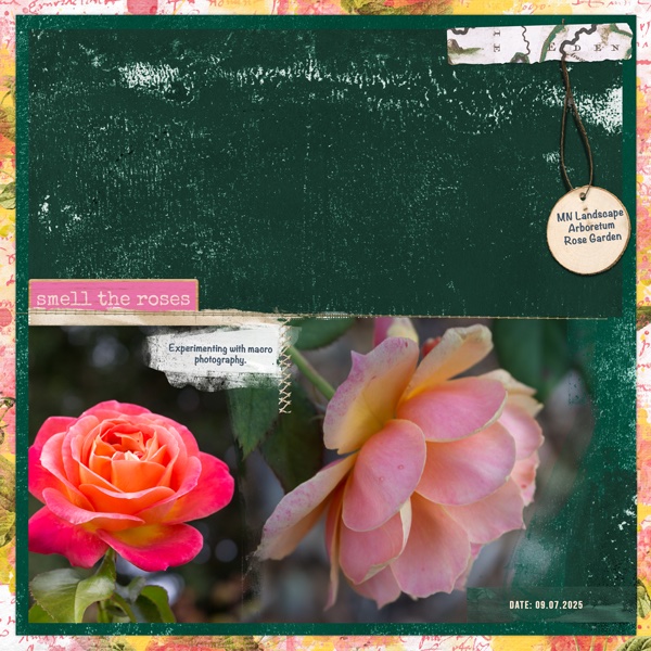 Smell_the_Roses.jpg