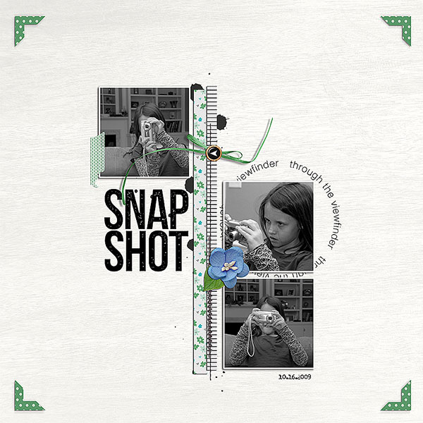 snap shot